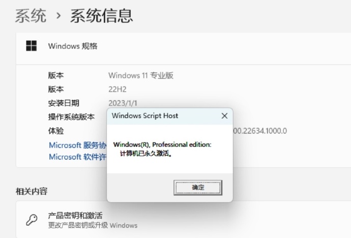 WIN 11 专业版已永久激活