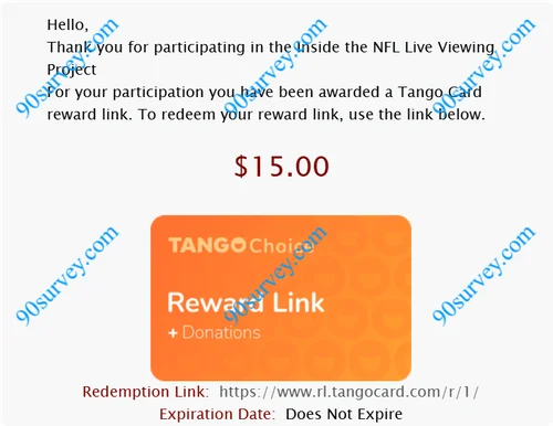 EFPD系列站E关于NFL赛事的15美元问卷